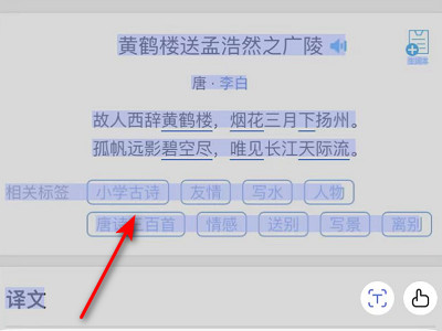 如何扫描图片变成文字第5步