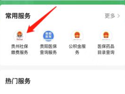 怎么交医保卡网上缴费微信第3步