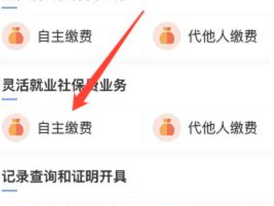 怎么交医保卡网上缴费微信第5步