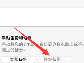 如何用itunes导入数据到新手机第5步