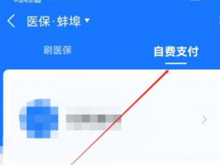 农保卡怎么在手机上交费第4步