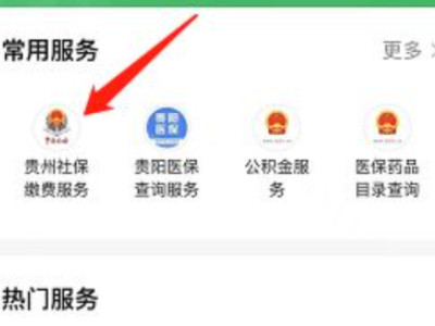 微信医保卡怎么缴费第3步
