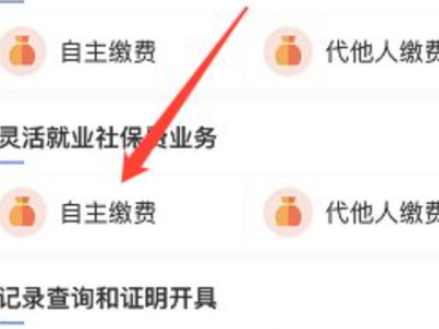 微信医保卡怎么缴费第5步