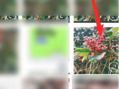 手机p图怎么把东西p掉第2步