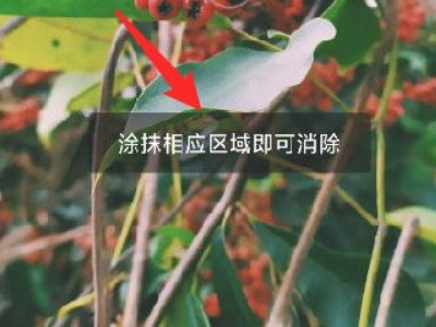 手机p图怎么把东西p掉第5步