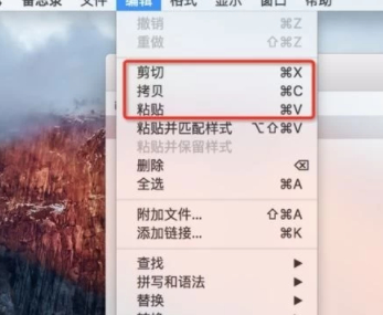 苹果电脑粘贴复制快捷键是什么第3步
