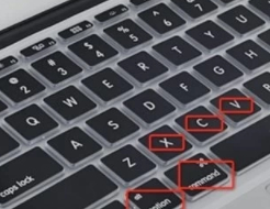 苹果电脑粘贴复制快捷键是什么第4步