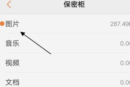 移入保密柜的照片怎么看第4步