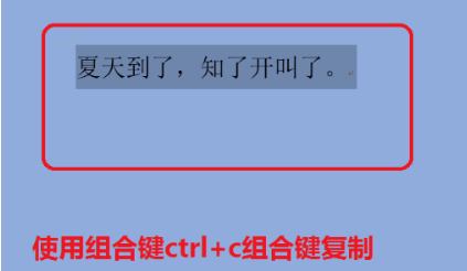 怎么用键盘复制粘贴文字第4步