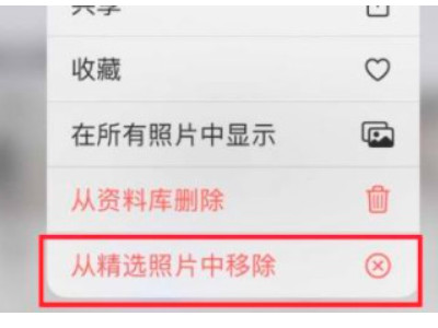 苹果小组件怎么放自己喜欢的照片第4步
