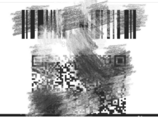 开票二维码怎么生成第4步