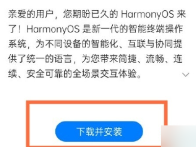 安卓系统太低怎么升级第3步