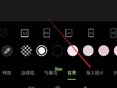 哪个app可以换证件照片底色第3步