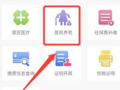 手机交养老保险怎么操作第3步