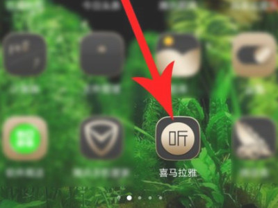 测试自己声音类型app第1步