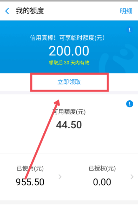 支付宝临时额度第4步