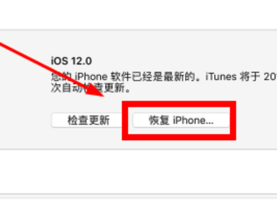 ipad忘记开机密码如何解锁第4步