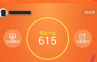 怎么更改淘宝账号会员名字第4步