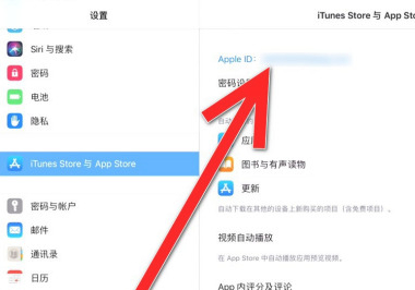 ipad怎么取消订阅自动续费第2步