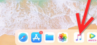 ipad怎么取消订阅自动续费第3步