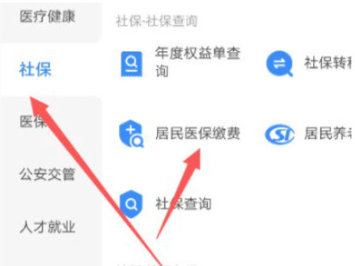 支付宝医保缴费怎么交不了第4步