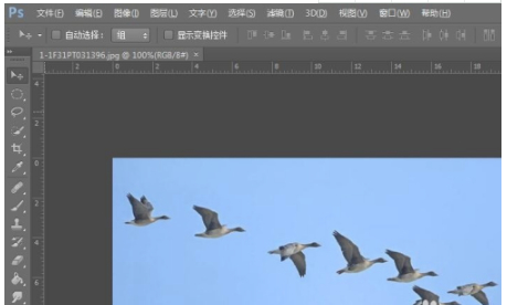 ps裁剪快捷键第1步