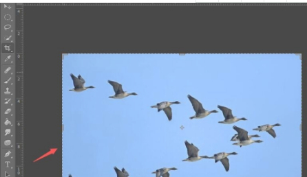 ps裁剪工具快捷键第2步