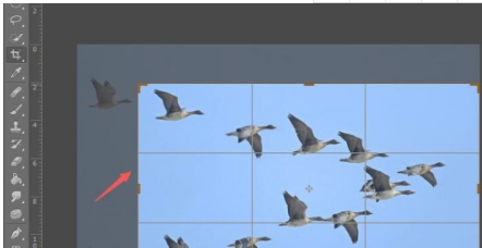 ps裁剪工具快捷键第3步