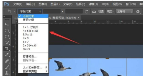 ps裁剪工具快捷键第4步