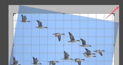 ps裁剪工具快捷键第5步