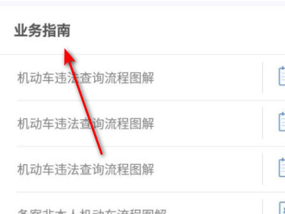 12123体检怎么导入第3步