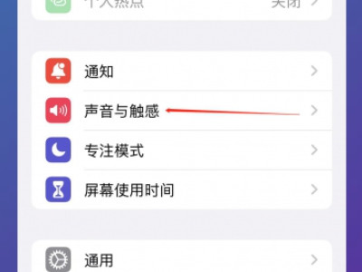 苹果手机声音小了怎么可以让它变大第2步
