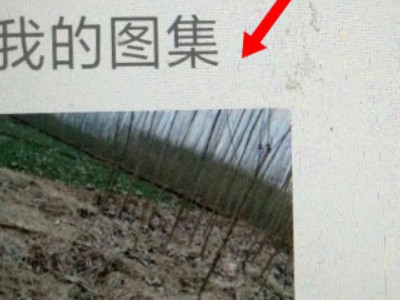 oppo手机照片私密了怎么找回来第6步