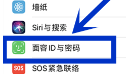 苹果11面容解锁后怎么直接进入主屏幕第2步