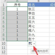 序号填充怎么老是1第5步