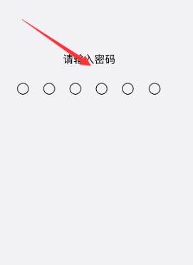 苹果id访问限制无法退出登录第5步