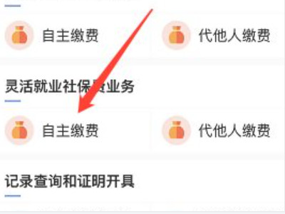 微信城市服务怎么交医保第5步