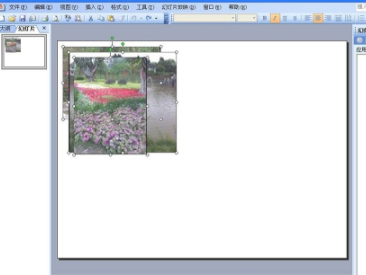 ppt统一调整各页图片大小第3步
