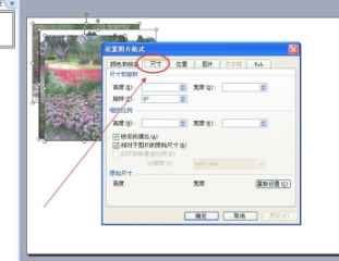 ppt统一调整各页图片大小第4步