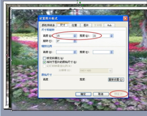 ppt统一调整各页图片大小第5步