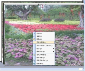 ppt统一调整各页图片大小第6步