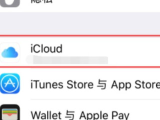 苹果手机的id在哪里看到第2步