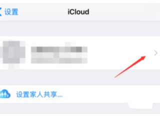 苹果手机的id在哪里看到第3步