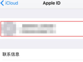 苹果手机的id在哪里看到第4步