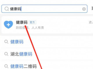 手机上怎么查核酸检测结果第1步