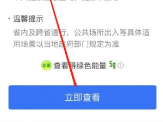 手机上怎么查核酸检测结果第3步