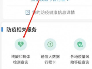 手机上怎么查核酸检测结果第4步