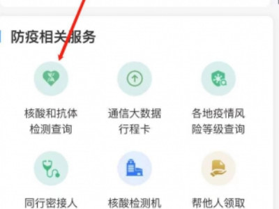 怎么在手机上查核酸检测结果第4步