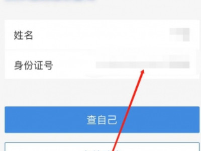 做完核酸检测在手机上怎么查结果第5步