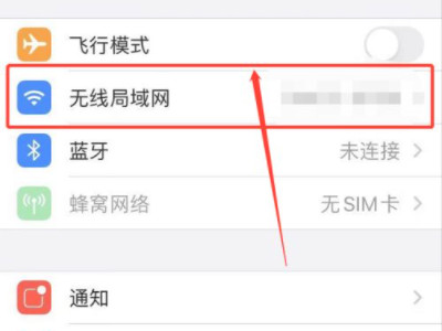 苹果手机自身的ip地址怎么查第2步